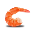 Misc